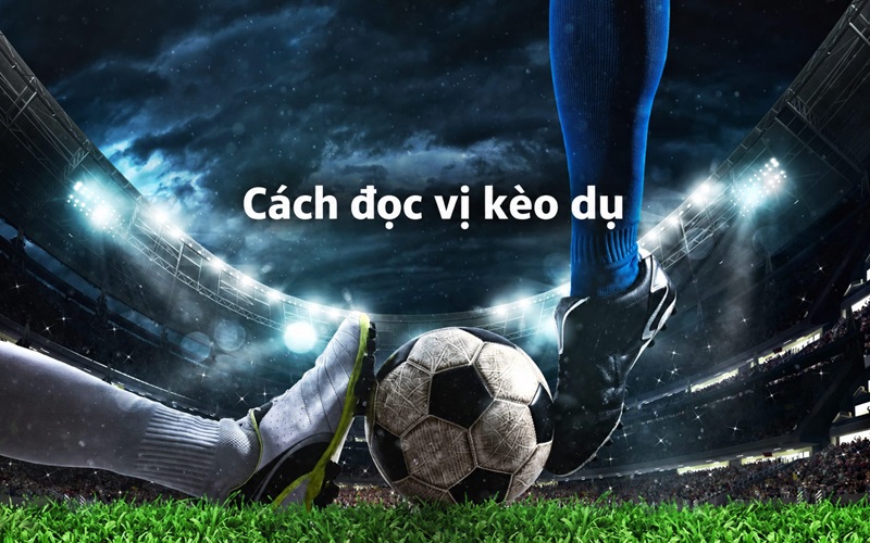 Cách đọc vị kèo Dụ để làm chủ cuộc chơi