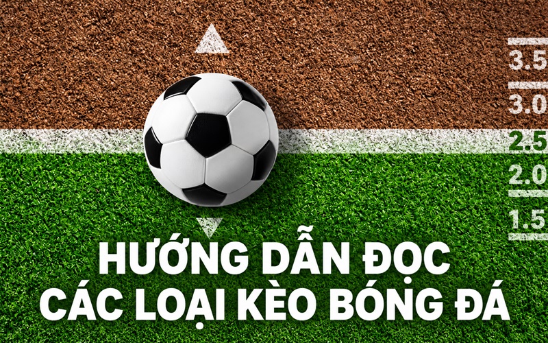 Hướng dẫn đọc các loại kèo Bóng Đá chủ đạo Hướng dẫn đọc các loại kèo Bóng Đá chủ đạo