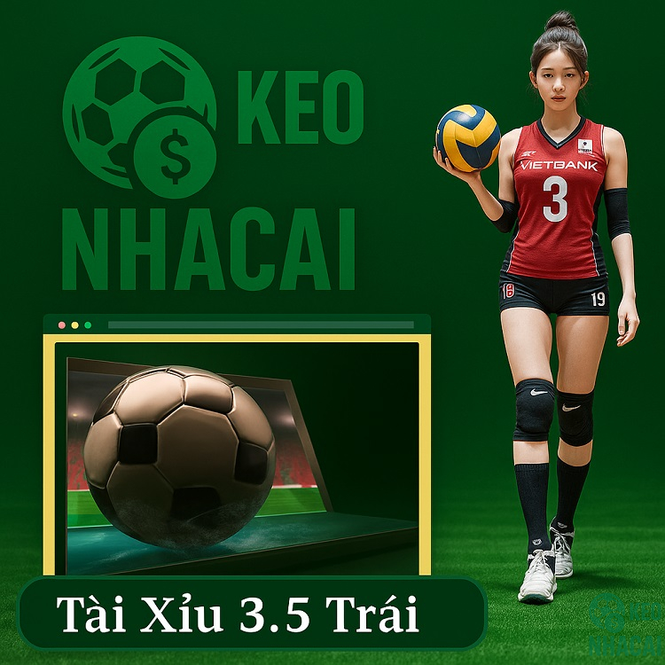 Hướng dẫn đọc kèo Hướng dẫn đọc kèo