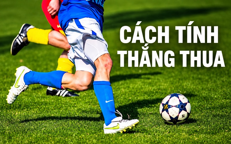 Kèo Clean Sheet tính thắng thua như thế nào Kèo Clean Sheet tính thắng thua như thế nào