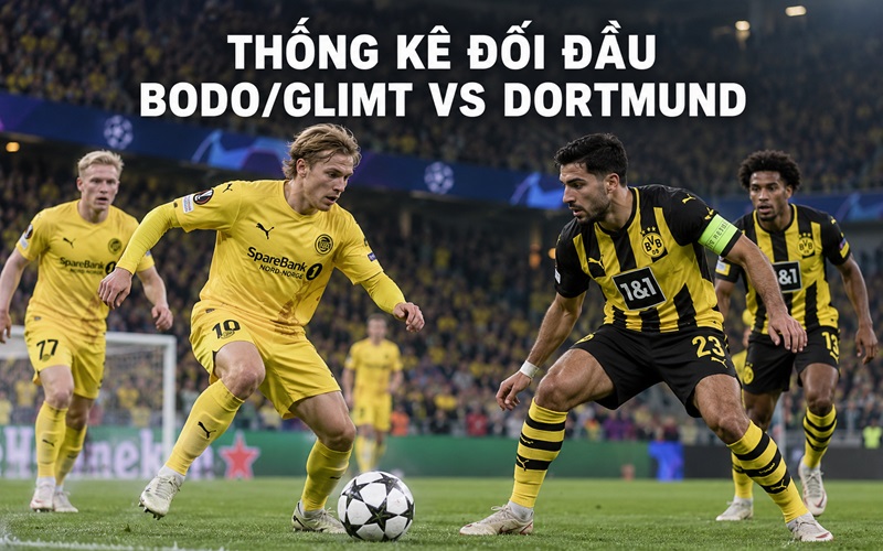 Thống kê đối đầu Bodo Glimt vs Dortmund